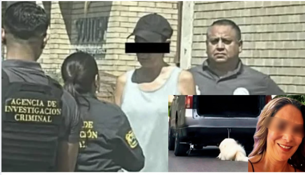 Detienen a Liliana “N”, presunta agresora de 'Rocky'